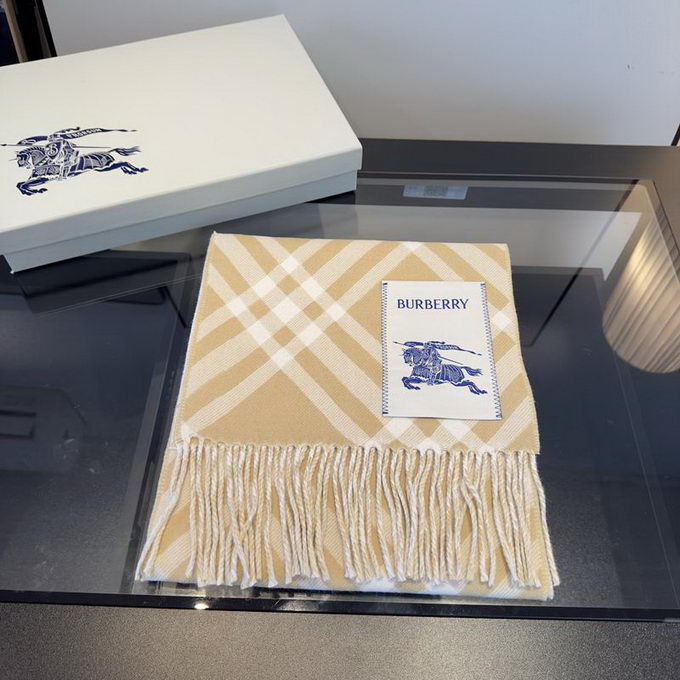 Burberry Scarf ID:20260120-43